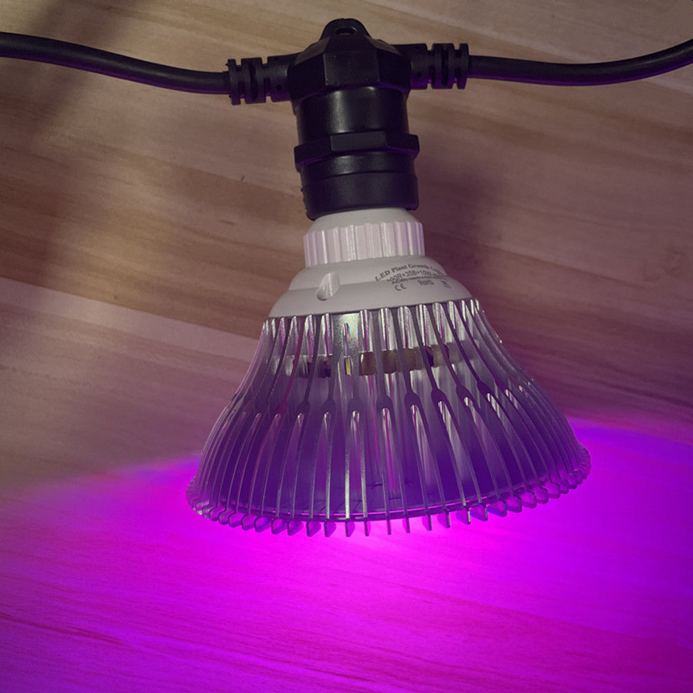 10M 케이블 LED 스트링 조명, 상업용 등급 방수, - Led Fairy String Lights 리뷰 및 가격